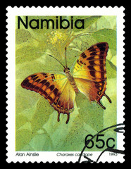 Fototapeta na wymiar Postage stamp. Butterfly Charaxes candiope.