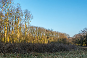 autumn scene with red yellow brown and orange colors the change of seasons
