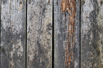 Rotting Wood Planks