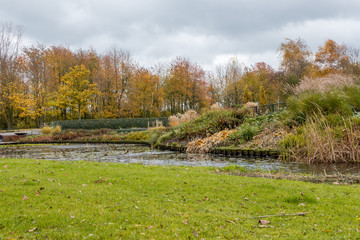 autumn scene with red yellow brown and orange colors the change of seasons