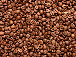 Fototapeta premium coffee bean brown roasted caffeine espresso seed
