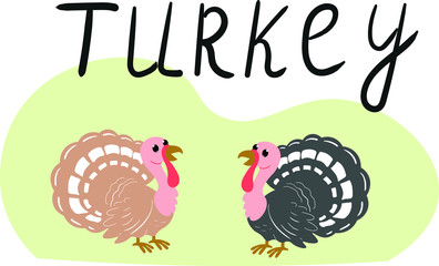 Fototapeta na wymiar turkey vector animal vector isolated on white background. Concept for print, logo, web design, icon