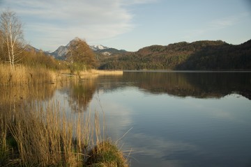 reflection of trees in lake