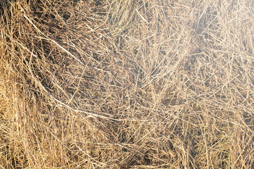 texture natural hay in the autumn harvest on the farm
