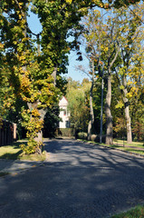 Naklejka premium Autumn landscape of the city Park of Kaliningrad, Russian Federation.