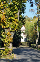 Autumn landscape of the city Park of Kaliningrad, Russian Federation.