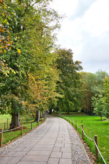 narrow footpath in the park