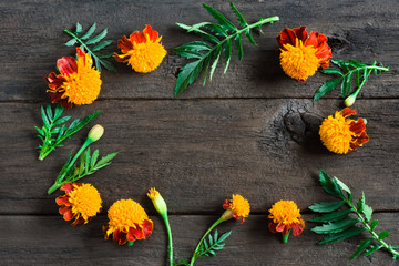 Frame of beautiful orange marigolds on a wooden background. Natural floral background