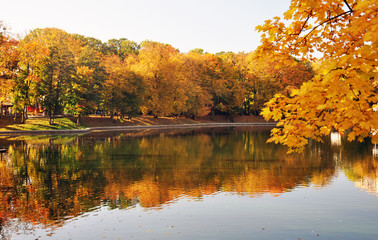 Autumn landscape of the city Park of Kaliningrad, Russian Federation.
