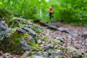 Walking in the woods