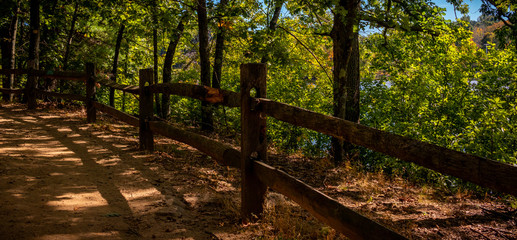 old fences in the forest with green trees