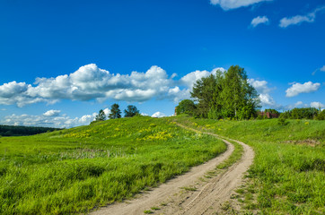 Fototapeta na wymiar Sunny day, clear sky, meadows and vegetation. Nature in the summer. Aleksino village in the Vladimir region, Russia