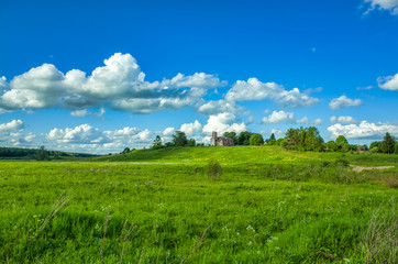Fototapeta na wymiar Sunny day, clear sky, meadows and vegetation. Nature in the summer. Aleksino village in the Vladimir region, Russia