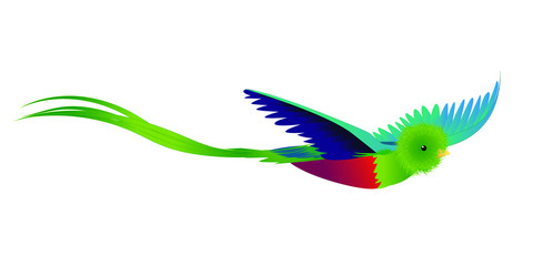  green bird, quetzal, cute cartoon