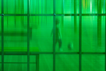 child plays with a ball behind a green wall. grid as a symbol of individuality