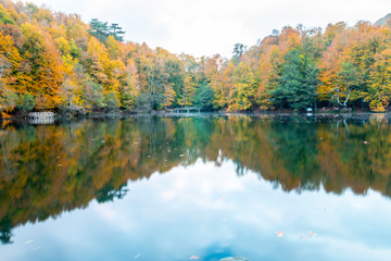 Bolu Yedigoller National Park, Turkey