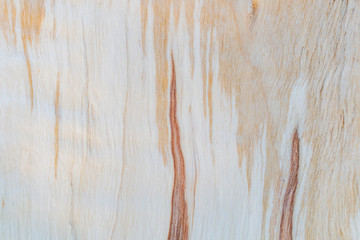 Textural image of the fibers of the felled and split logs