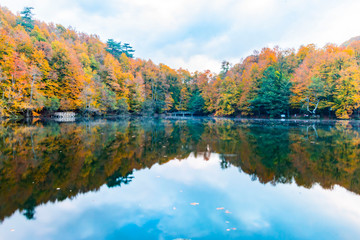 Bolu Yedigoller National Park, Turkey