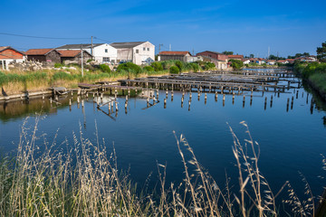 Oyster farming harbour near Arcachon, France