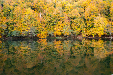 Bolu Yedigoller National Park, Turkey