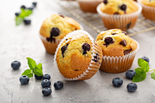 Chocolate chip and blueberry muffins with milk
