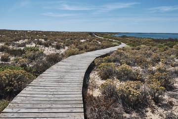 Ilha Deserta island in Faro, Portugal