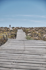 Ilha Deserta island in Faro, Portugal