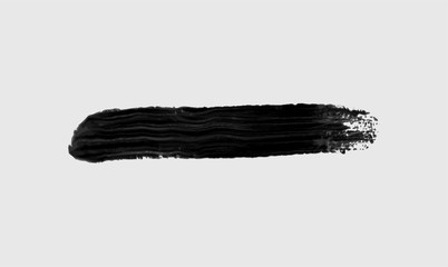 Brush  paint vector