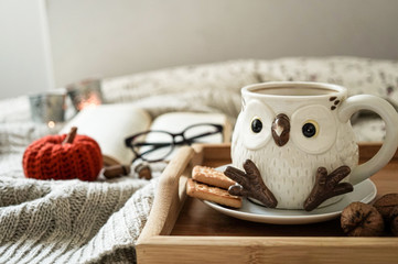 Cup of tea and cookies in a cosy autumn scenery
