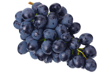 blue grape isolated on a white. Food