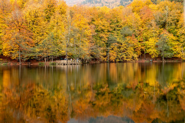 Bolu Yedigoller National Park, Turkey