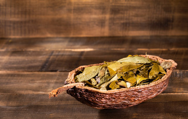 Erythroxylum coca - Dried coca leaves