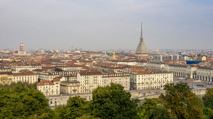 Fototapeta na wymiar Torino vista dall'alto