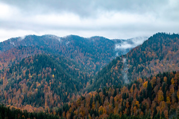 Bolu Yedigoller National Park, Turkey