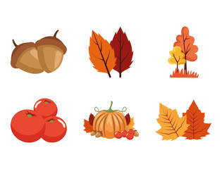 bundle of autumn season icons