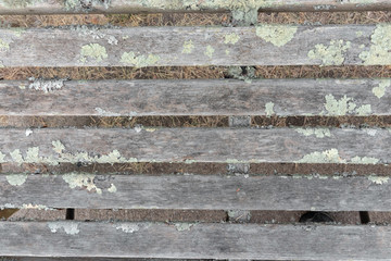 Wooden park bench texture