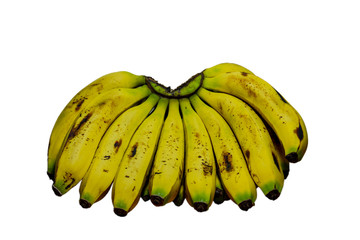 bunch of yellow bananas