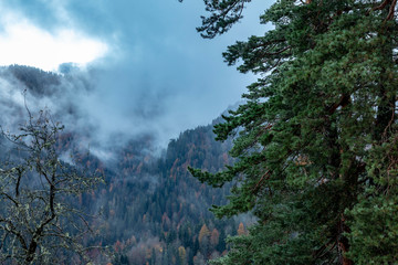 Bolu Yedigoller National Park, Turkey