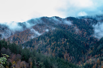 Bolu Yedigoller National Park, Turkey