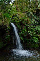 Fototapeta na wymiar Beautiful waterfall captured in Carvalhais. Sao Pedro do Sul, Portugal