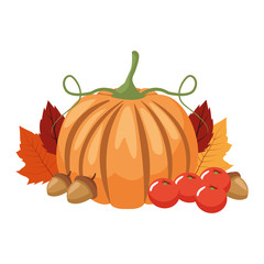 autumn pumpkin and fruits seasonal icons