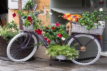 Fototapeta na wymiar Bicicletta ornamentale