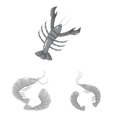 Isolated object of seafood and healthy sign. Collection of seafood and ocean stock vector illustration.
