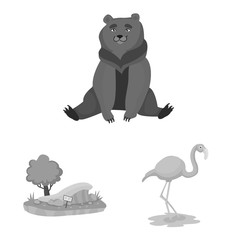Isolated object of zoo and park icon. Set of zoo and animal stock symbol for web.