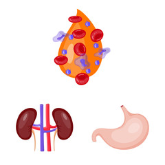 Vector illustration of anatomy and organ symbol. Collection of anatomy and medical stock vector illustration.