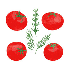 Set of red watercolor tomato. Vector illustration.