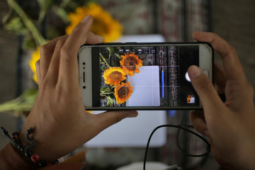 Fototapete bei efototapeten.de bestellen   
