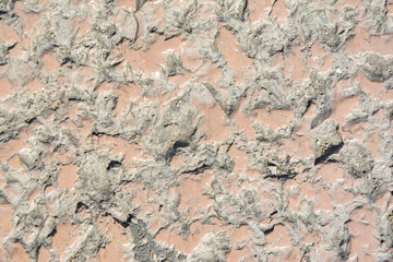 stone wall background 