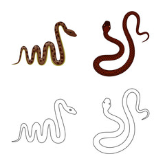 Vector illustration of mammal and danger symbol. Collection of mammal and medicine stock symbol for web.