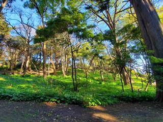 Isidora Cousiño Park, Lota, Bio Bio Region, Chile